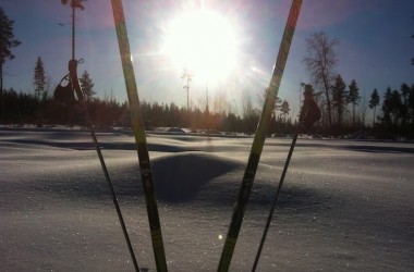 IMG_2877 IMG_2877
